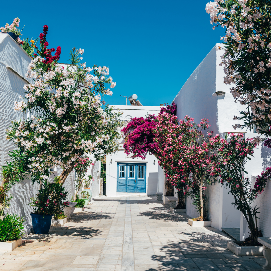 tinos karlitalia grecia365